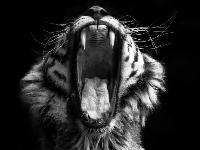 China’s Iran Positioning now Pivotal to Maritime War Risk in Hormuz Strait